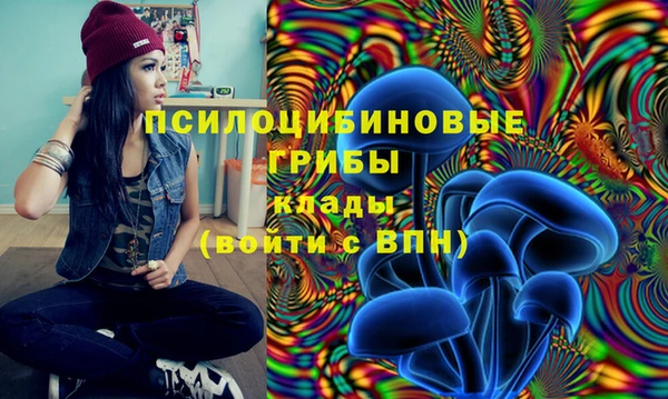 ешки Баксан