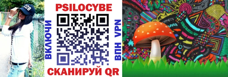 Купить где  Апатиты  Галлюциногенные грибы MAGIC MUSHROOMS 